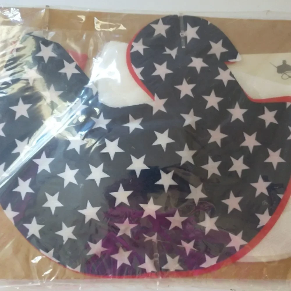 Patches Do It Yourself Kit‎ Patriotic Hen Vintage Chicken Stuffed Red White Blue